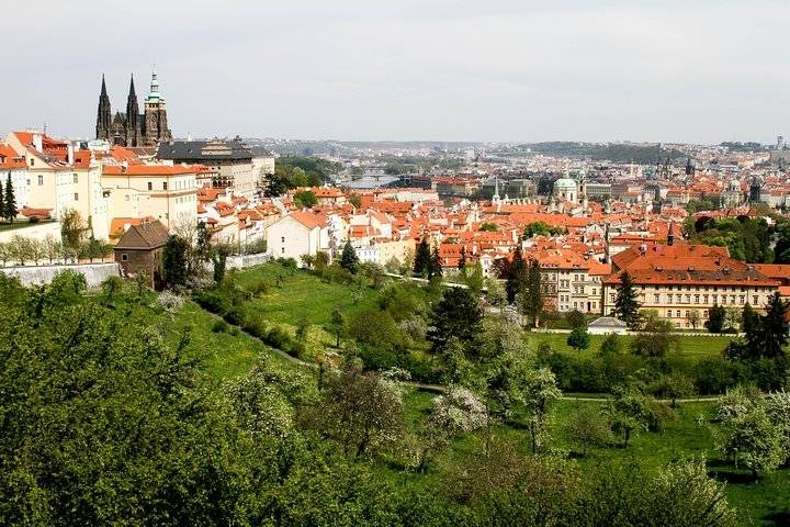 Grand City Tour by Bus and by Foot